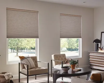 Taupe honeycomb blinds on two tall living room windows beside armchairs