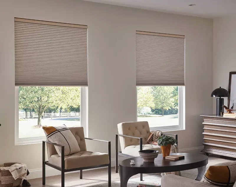 Honeycomb Blockout Blinds