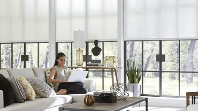 Light-filtering honeycomb blinds on tall living room windows, Custom Blinds Shutters & Awnings