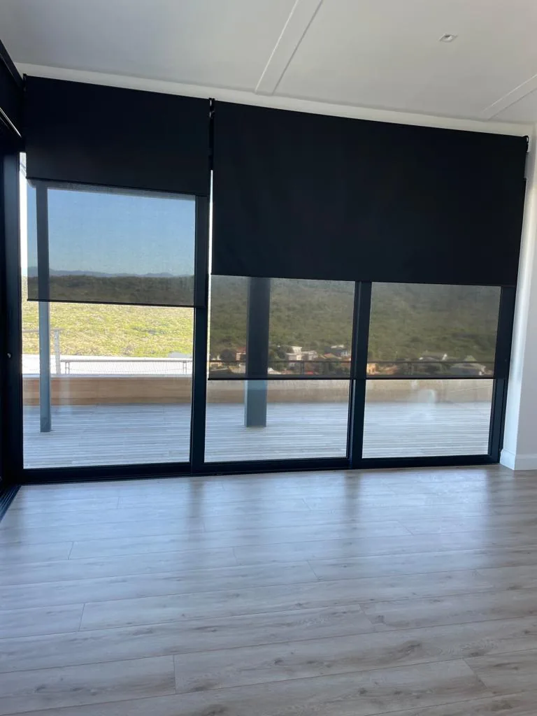 Duo roller blind in a living room, sheer and blockout fabrics on one bracket