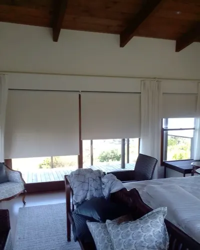 Cream blockout roller blinds over bedroom windows and deck doors under timber beams